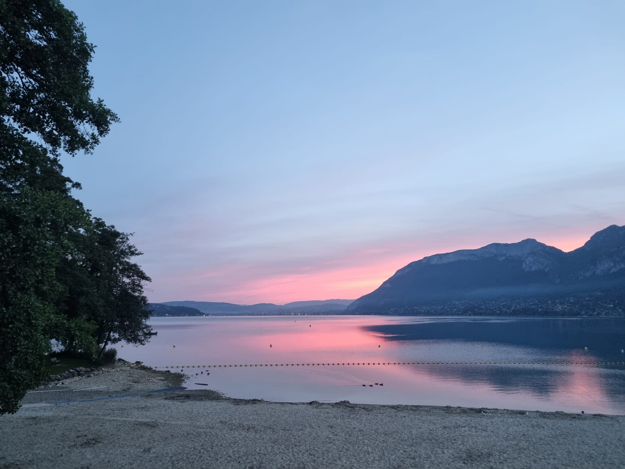 Plats gourmet préparés avec soin